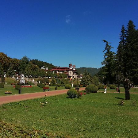 Apartamentul Alfa Slănic-Moldova Extérieur photo