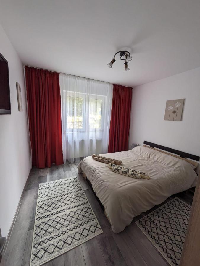 Apartamentul Alfa Slănic-Moldova Extérieur photo